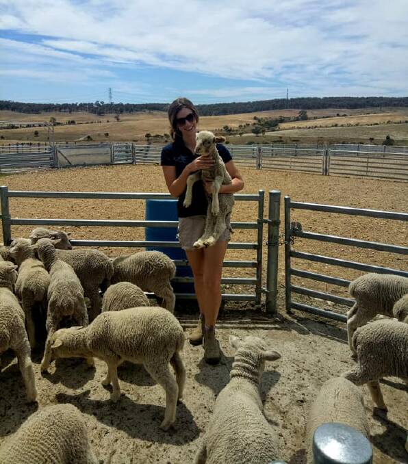 University of Western Australia research associate Kelsey Pool is looking at the effects of oestrogenic pastures on ram fertility. 
