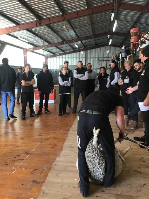 Shearer Woolhandler Training's Tom Kelly gives a demonstration to students at a workshop in Victoria. 
