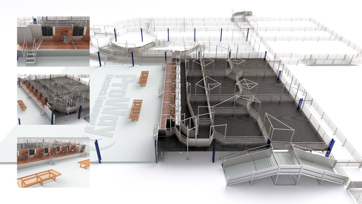 A 3D representation of a six stand shearing shed with lane delivery system being fit out by ProWay.