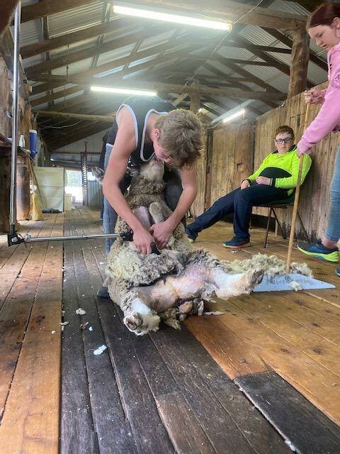 Students taking part in the South West Bluelight Shearing program.
