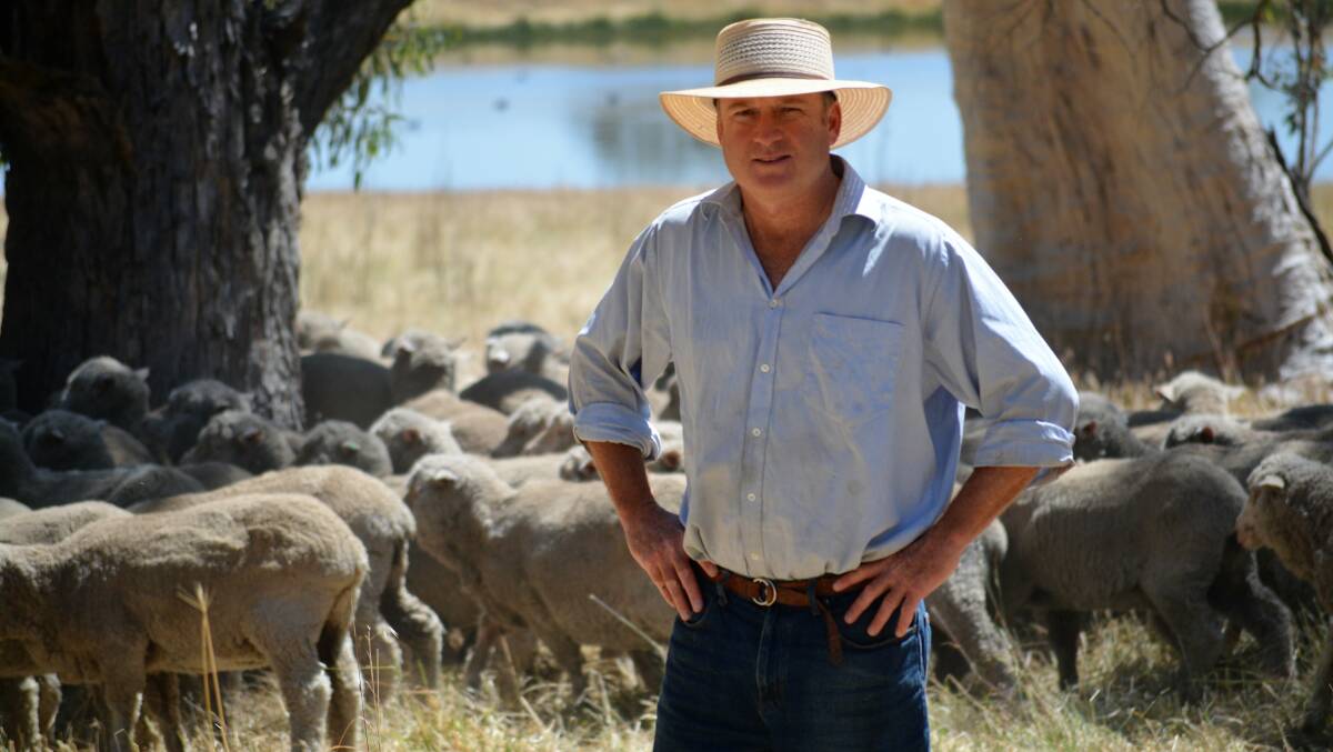 Ed Storey, former WoolProducers Australia president, is running for the Australian Wool Innovation board.