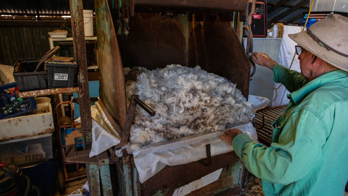 A feasibility study will look at new potential markets for Australian wool and the possibility of domestic wool processing facilities. 