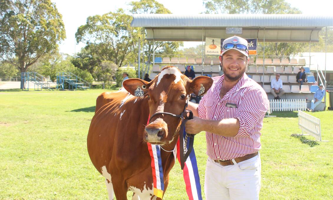 There were just under 100 entries in the dairy section at this year's Toowoomba Royal Show. 