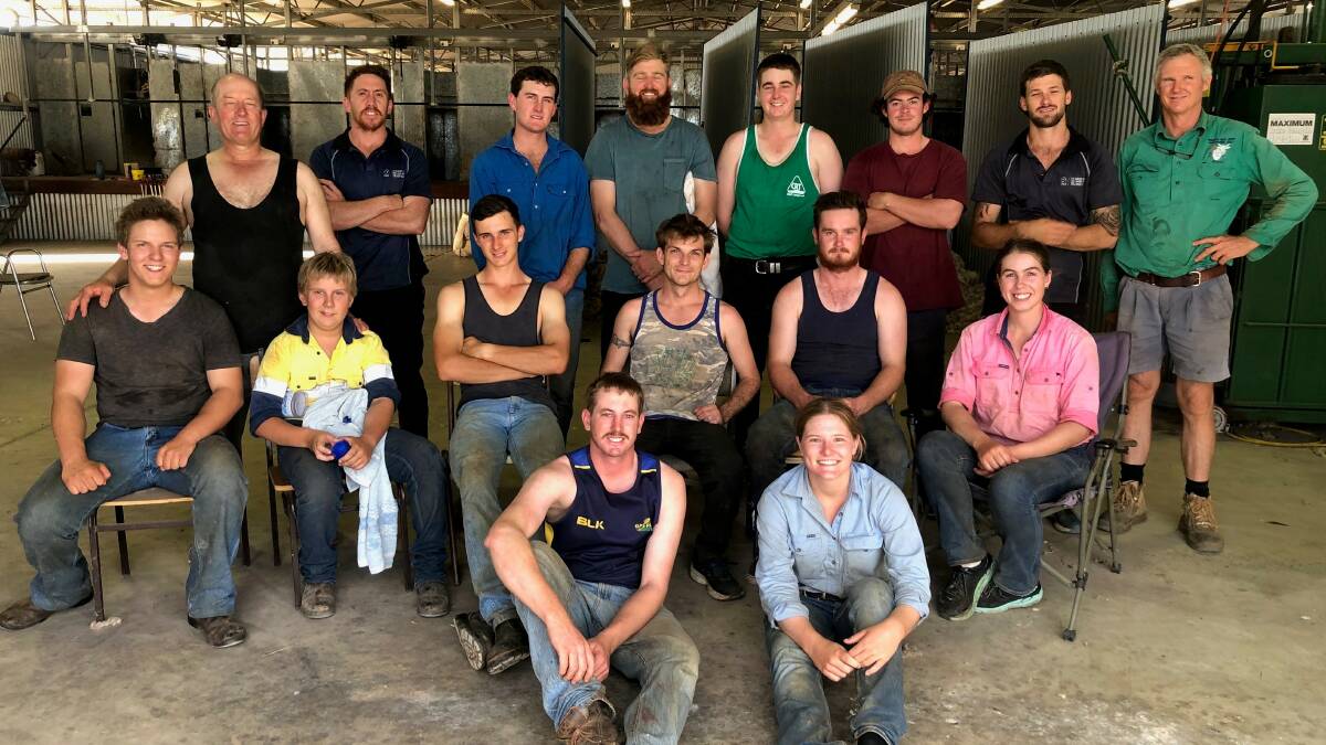 COVID shearing shortage prompts new growth in industry | Farm Online | ACT