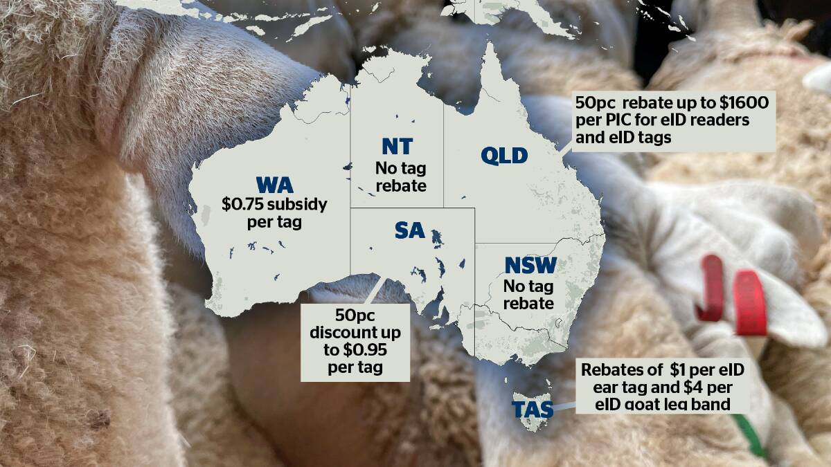 Funding arrangements for sheep and goat eID tags differ across Australia. 