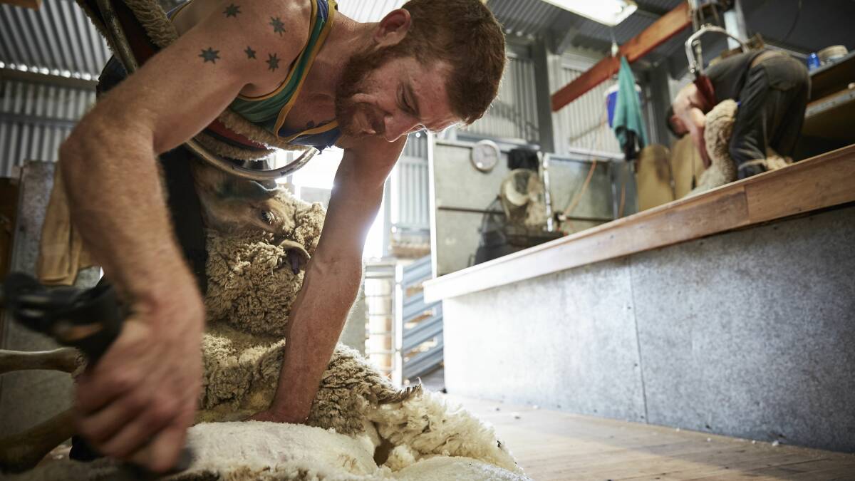 NSW Farmers are encouraging school leavers to give the shearing industry a go. 
