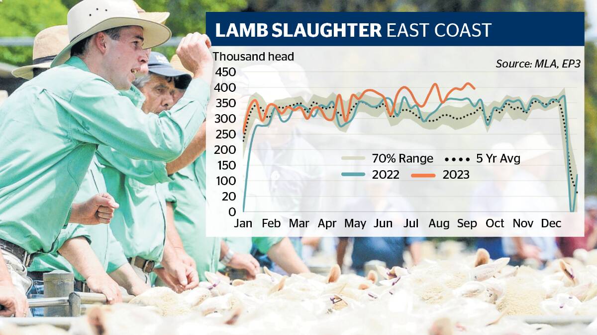Elevated lamb slaughter volumes aren't relieving the pricing pressure. 