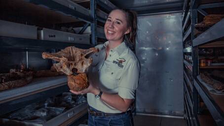 Swinbourne research student Sam Rigby with the fossil remains of Ollie the juvenile sauropod at Winton.