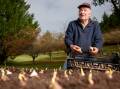 Always by hand, Bill Rhodin beds down some of the thousands of Tulip Top bulbs for their winter quasi-slumber. Picture: Sitthixay Ditthavong