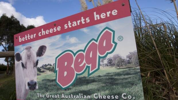 Unions to meet with Bega Cheese management and staff over proposed job cuts