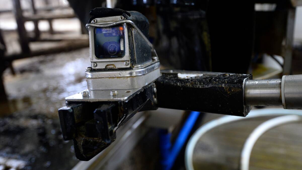 ROBOT CAMERA: The camera helps guide the robot arm, and gets scrubbed clean automatically after each cow.