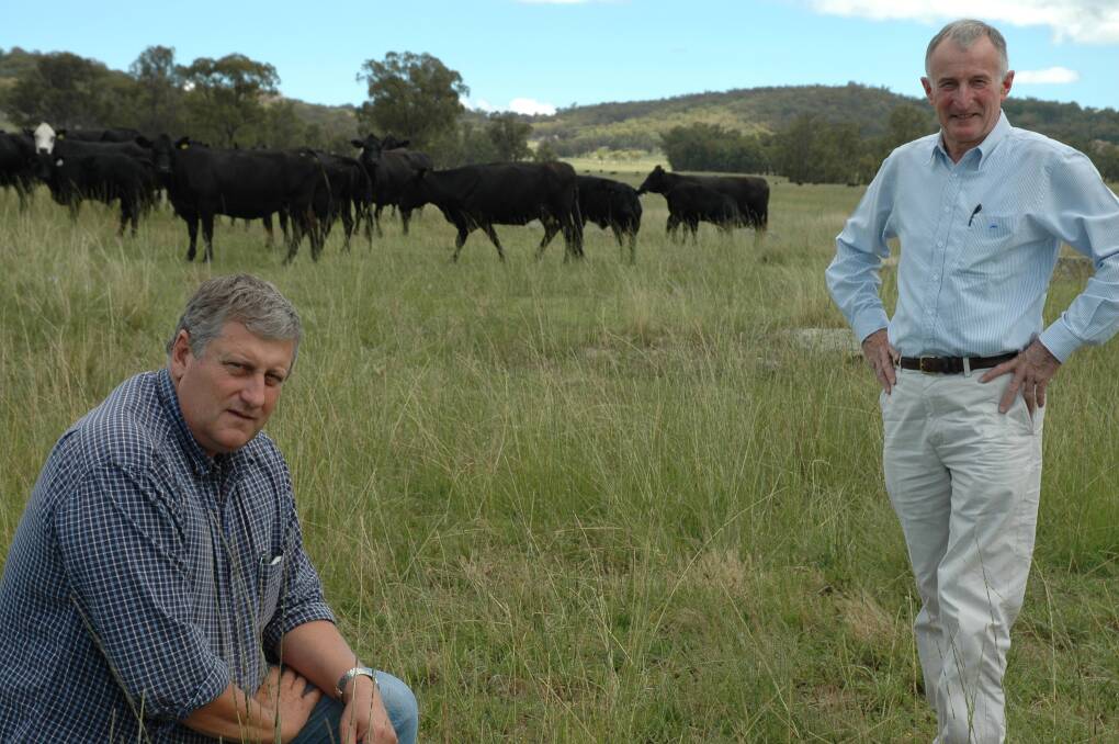 Agronomist Matthew Monk, at left, became an integral part of Sundown Valley's success as manager, working on the motto of "keep it simple" with the massive cattle backgrounding operation near Armidale. He is pictured with Sundown's Rob Walker before the sale to Gina Rinehart with Angus and White Baldy cows in background.