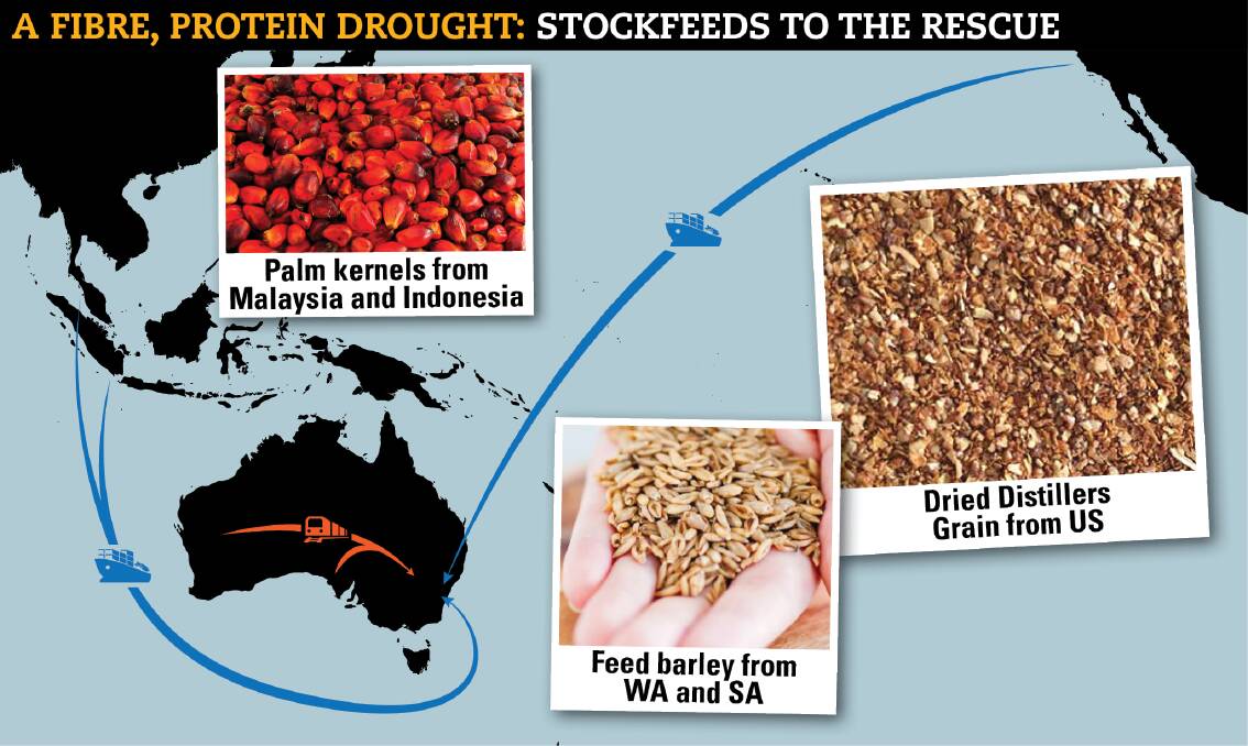 Is this where stockfeed will need to be sourced to keep our sheep and cattle going through the drought? Palm kernels from Asia and dried distillers grain from the US.  Barley from the west is keeping protein feed sources alive.