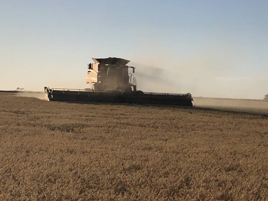 Chickpea growers face uncertain times for their crop as ship freight costs skyrocket and some of the crop is downgraded due to the wet weather before and during harvest.
