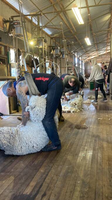 Shearing at Jandra Station, Bourke last month. A full house of shearers but shed hands were hard to find. Photo courtesy of Will Coy, Muddy's Quality Shearing.