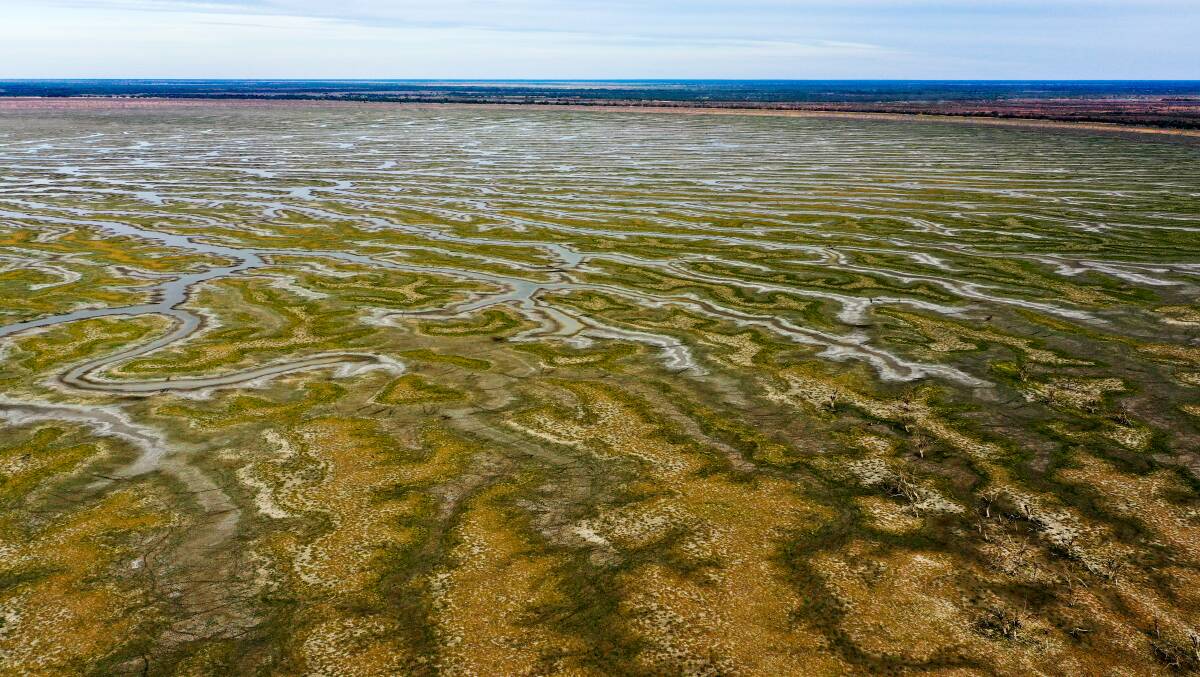 Menindee Lakes is at the centre of an evironmental disaster in the drought.