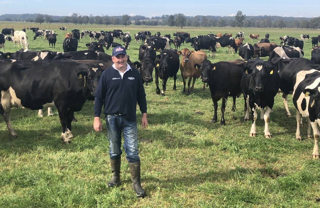 James Neal at Farm Profits, Oxley Island, Taree. The farm is only slowly recovering from the floods with silted paddocks and drains and a herd's production that was decimated by the floodwaters.