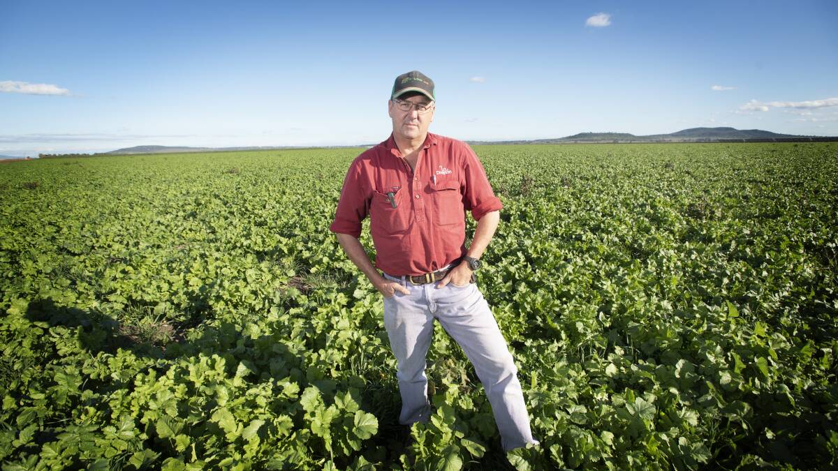 "Hopefully we can get on with farming without worrying about our groundwater supplies," says Breeza farmer John Hamparsum. Photo by Peter Hardin.