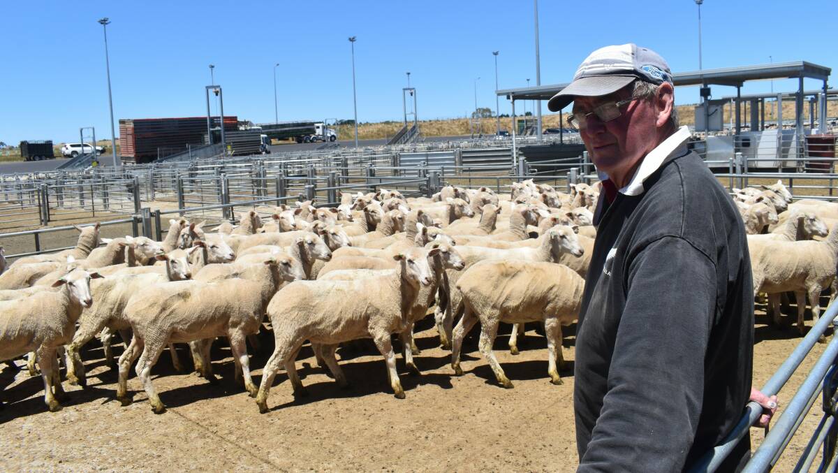 BUYER: Ray Brook, Cavendish, bought this pen of 97 ewes, August/September 2019-drop, sold by account Orana, for $384 at Ballarat last month.