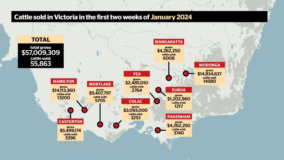 A glance at he mixed-sex weaner cattle sold across Victoria in the first two weeks of 2024.