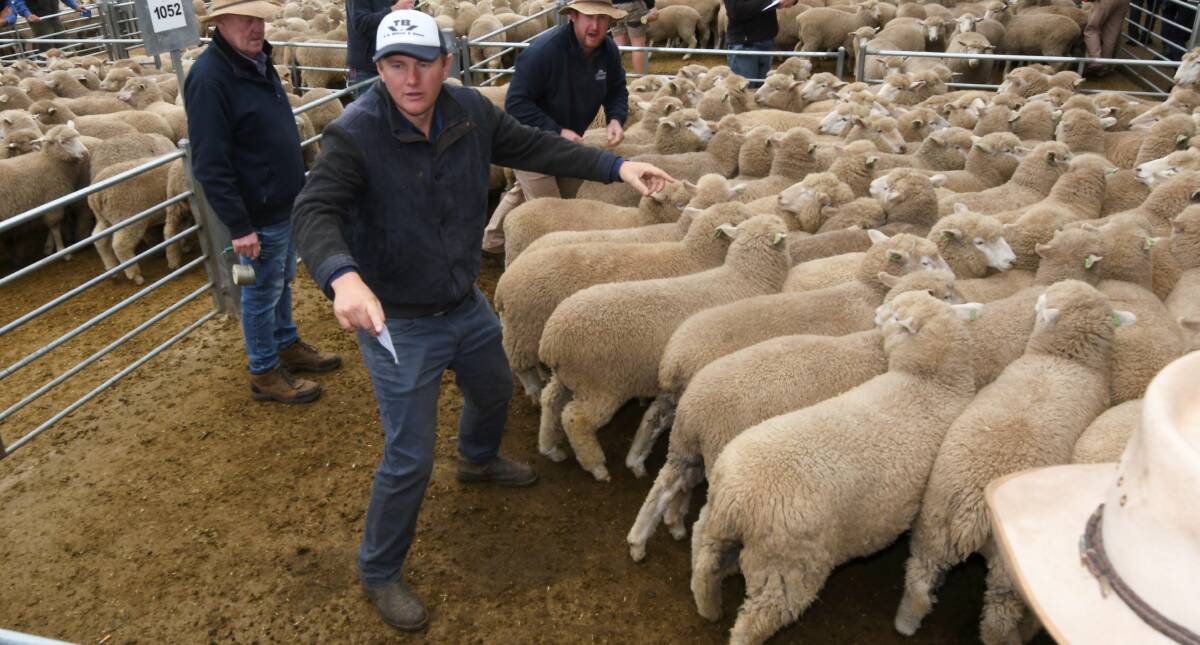 BANNED: TB White & Sons livestock agent Xavier Bourke (front) was handed a three-month ban from attending the CVLX. File photo.
