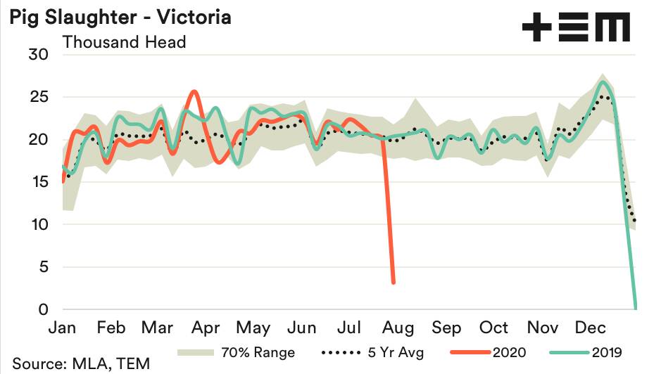 BIG DROP: Pig slaughter has fallen considerably in Victoria in the last two weeks.