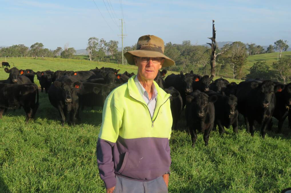 LOOKS DECEIVING: Beef farmer Rex Hergenhan, Bega, says while some paddocks are green along the east coast, much more rain is needed to fill empty dams following a dry start to the year after an ordinary 2019.
