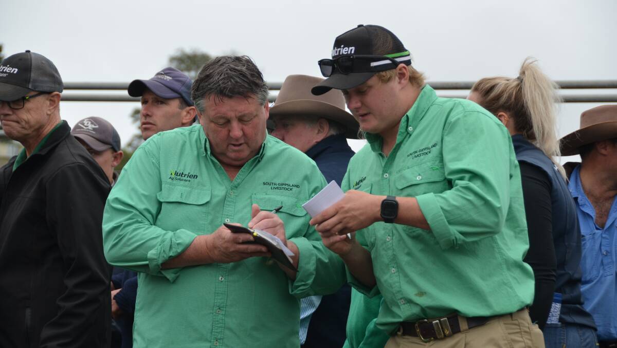 Terry and Jack Ginnane, Nutrien South Gippsland Livestock, Leongatha, bought more than 1000 cattle during the week. Picture by Bryce Eishold