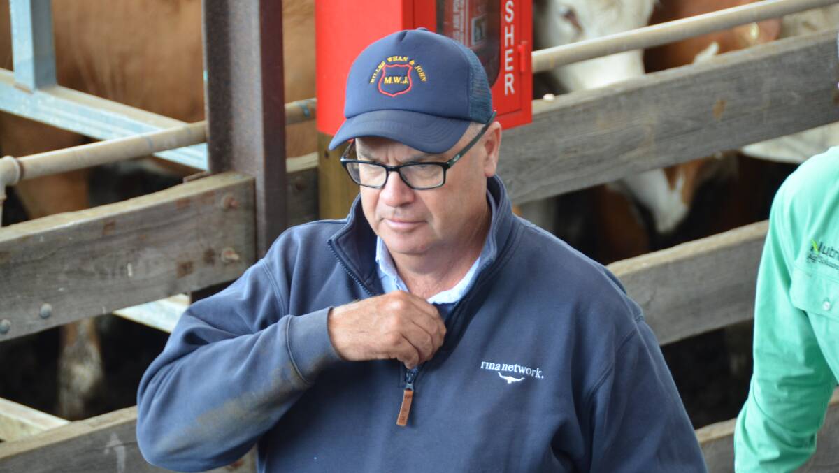 Miller Whan & John director Andrew Whan, Mount Gambier, SA, was one of the largest buyers of western district weaner cattle in 2024. Picture by Bryce Eishold