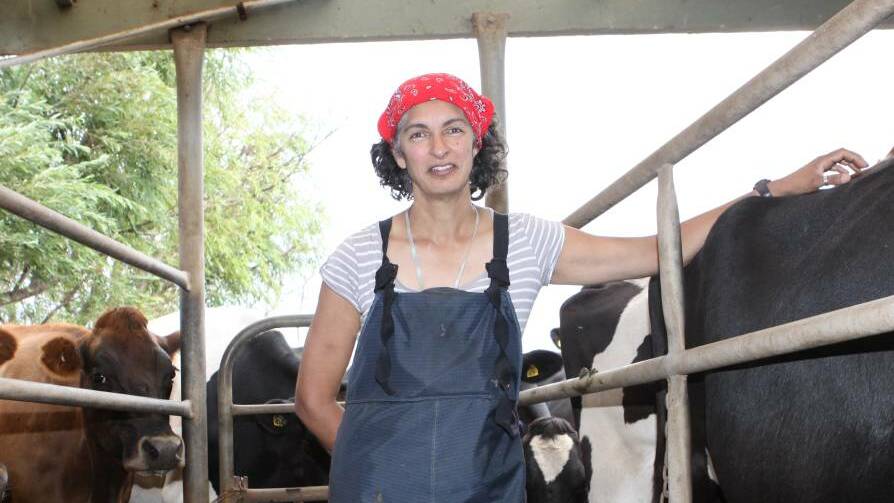SPEAKING OUT: Crossley dairy farmer Karrinjeet Singh-Mahil spoke at a parliamentary inquiry into the dairy industry.