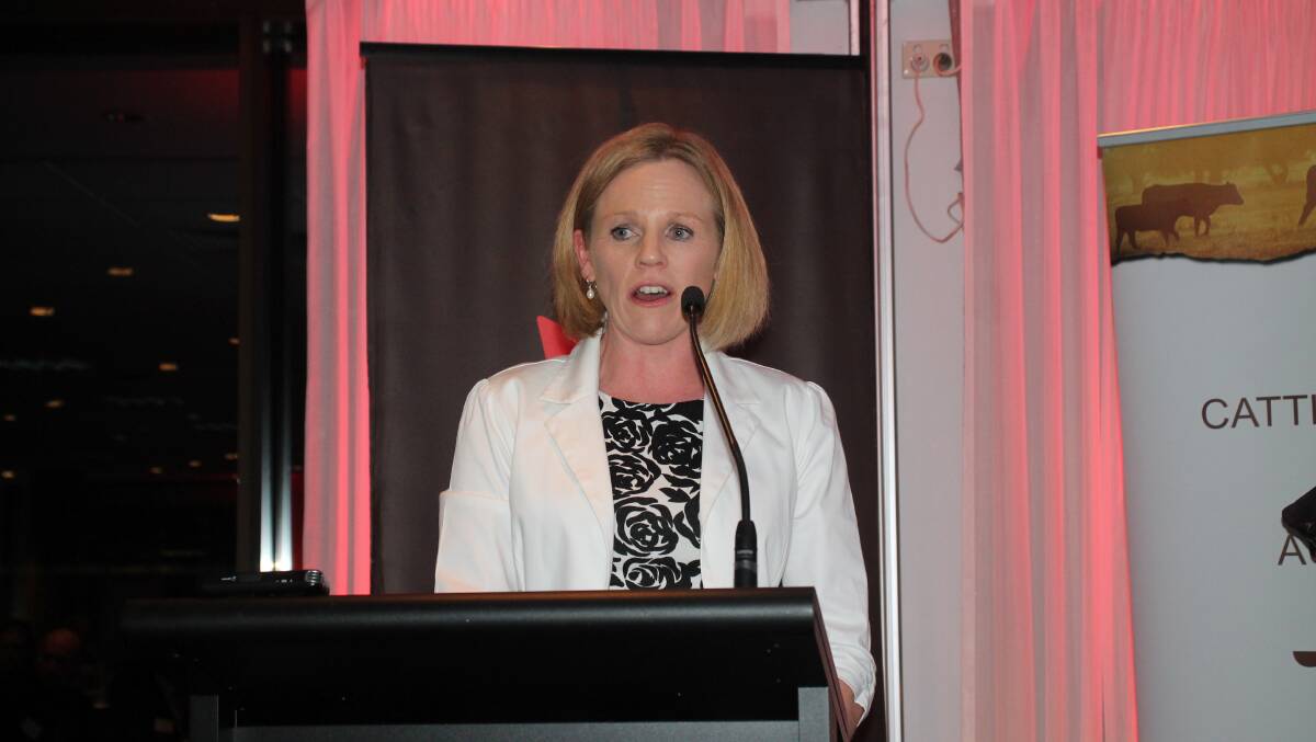 The innaugural Rising Champion winner from 2011 Alison Hamilton speaking at the gala dinner in Canberra.