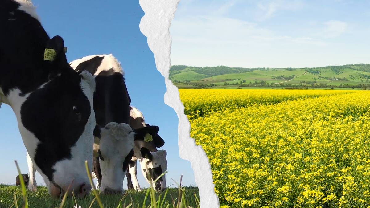 The dairy and cropping sectors experienced export value growth in the 2020-2021 financial year. Pictures: Shutterstock