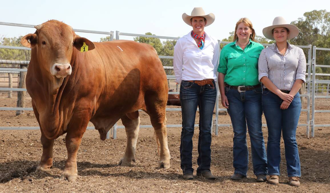 Helen Childs, Glenlands stud with buyers Lisa and Stephanie Laycock, High Country stud and $47,500 bull Glenlands D Whynot (P).
