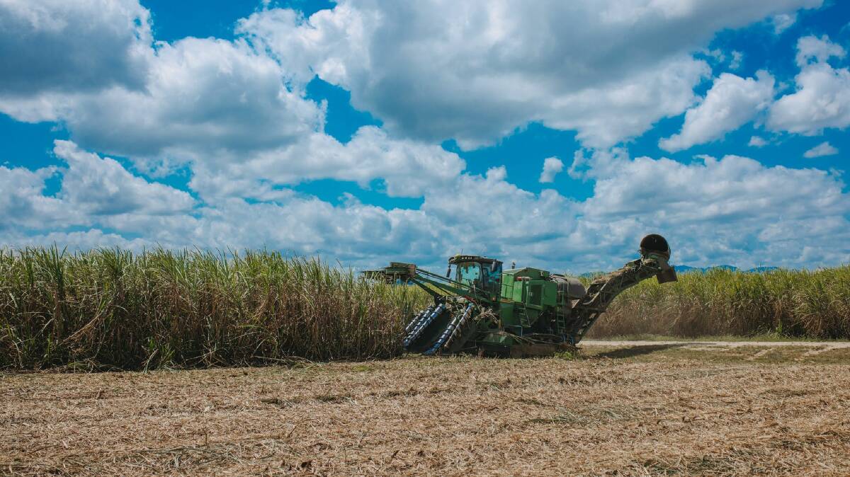 John Deere's CH9 series cane harvesters operate at similar speeds to single-row units in most conditions but have the ability to cut two rows of cane simultaneously, dramatically increasing productivity.