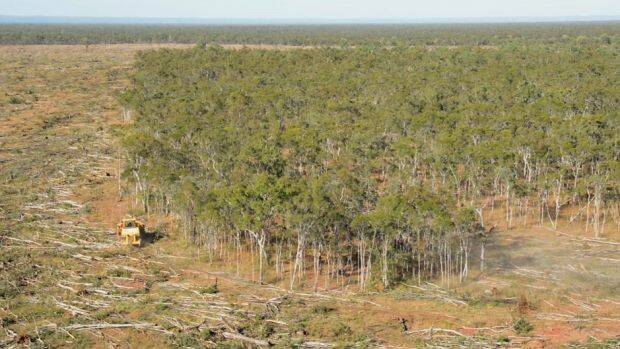 Land clearing in Queensland. Photo: The Wilderness Society