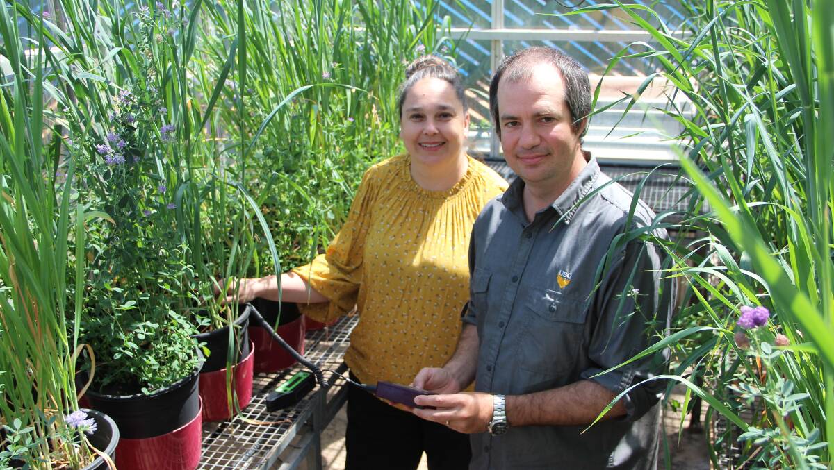 Justine Baillie and Associate Professor Keith Pembleton are the program directors for USQ's new Bachelor of Agricultural Technology and Management degree.