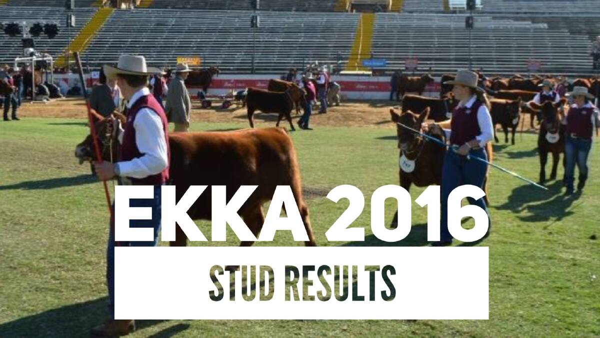 Ekka 2016 stud beef results