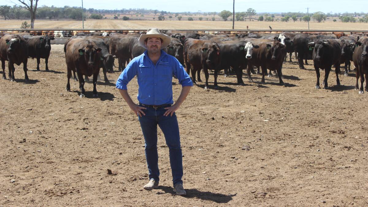 President of the Australian Lot Feeders' Association, Bryce Camm, Wonga Plains, Bowenville, says they are focusing on public safety and security. Picture: Helen Walker  