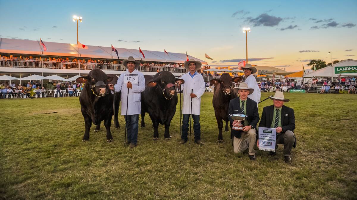 Champion interbreed exhibitors group was awarded to David and Suzanne Bassingthwaighte's Waco Santa Gertrudis Stud, Mungallala, pictured with son Howy and Landmark's Rob Clayton and Mark Scholes. Photo: Kelly Butterworth