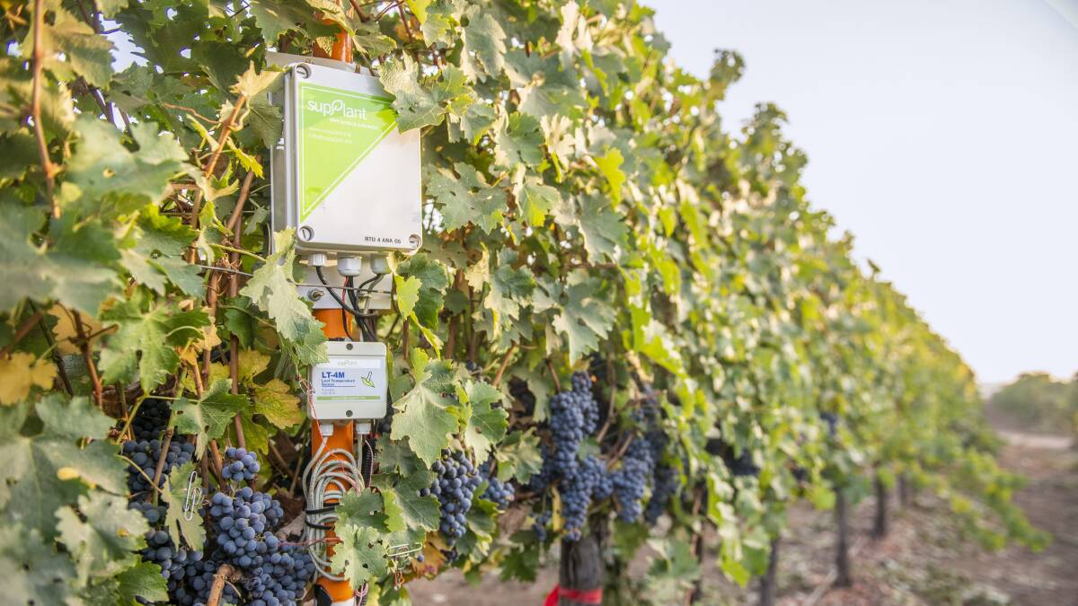 SupPlant's hardware-software solution is being used to monitor tree crops, orchards and vineyards in 14 countries. 