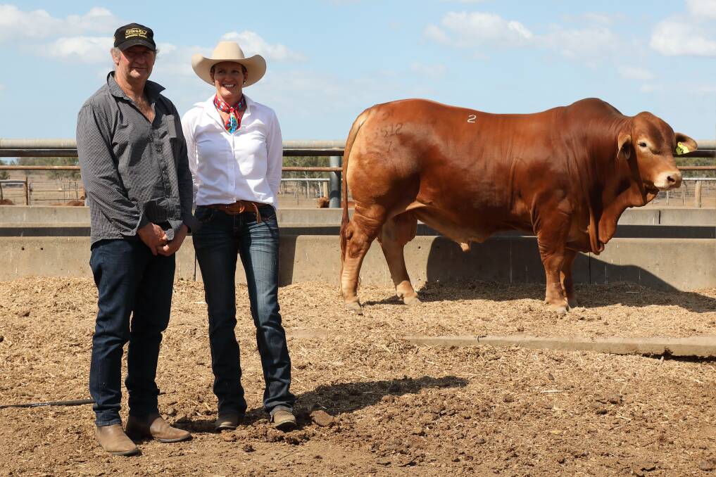 Buyer Ken Mutton, Fieldhouse stud, Wickepin, WA and Helen Childs, Glenlands stud, Bouldercombe, with Glenlands D Winchester (P), who topped proceedings at $80,000. 