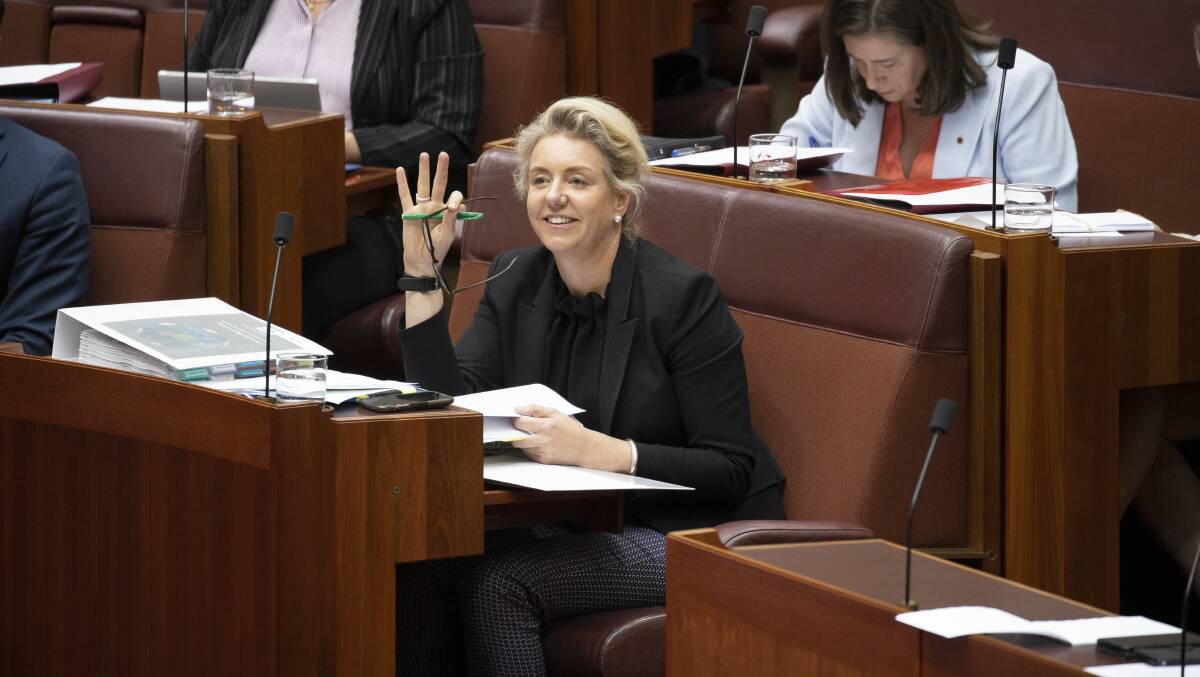 Nationals deputy Bridget McKenzie resigned from cabinet on Sunday. Picture: Sitthixay Ditthavong