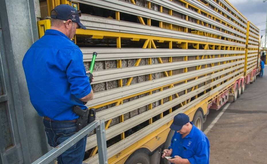 NSW rural investigators check a stock truck. Picture: NSW Police