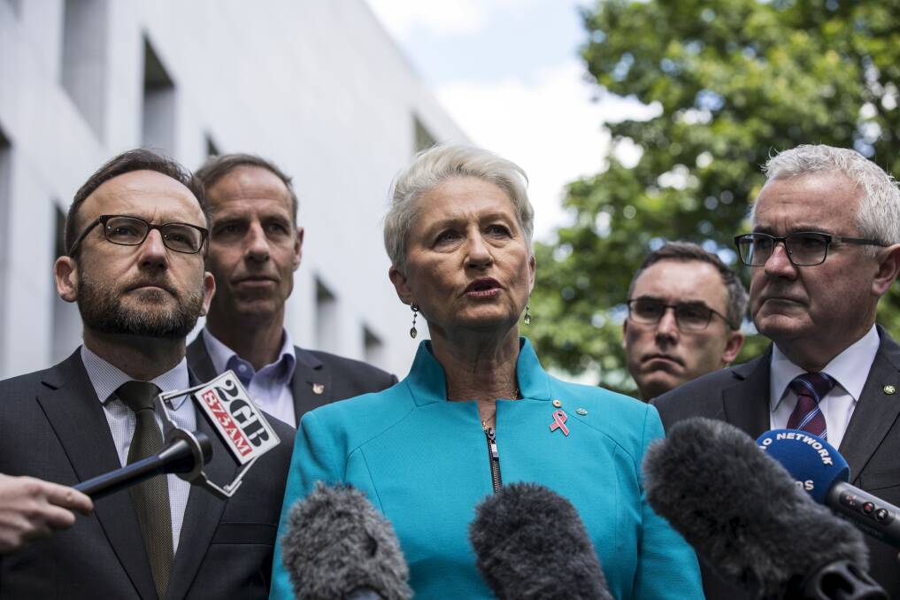 Tough talk: Dr Kerryn Phelps, Andrew Wilkie, Adam Bandt address the media at Parliament House today. Photo by Dominic Lorrimer.
