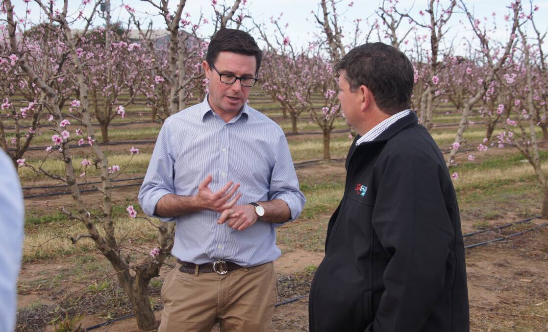 LITTLEPROUD VISIT: Federal Water Minister David Littleproud visiting a Swan Hill stone fruit orchard last month.
