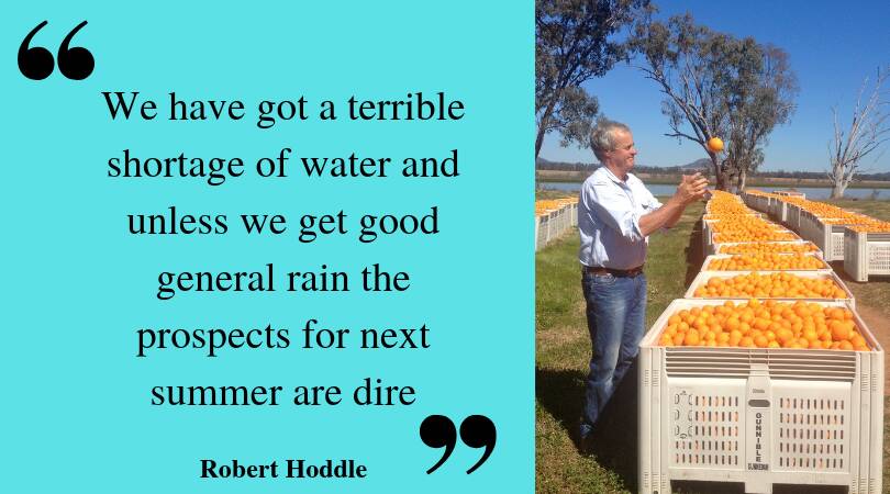 The human toll of Murray Darling Basin water reform