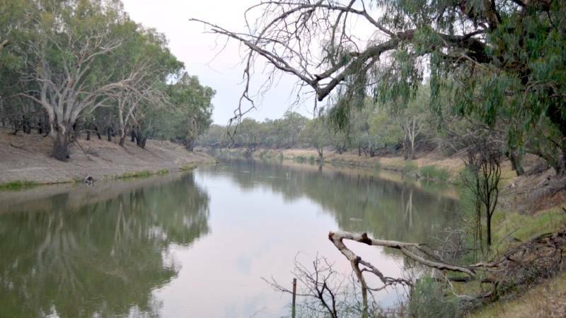 Looking east along the Darling River at Bourke.