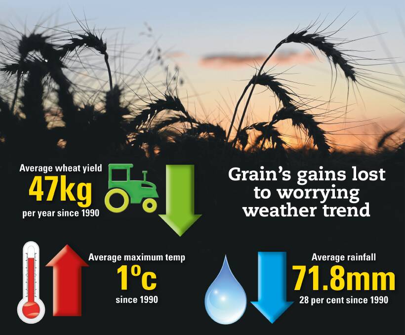 Negative impacts to yields from climate change has cancelled out wheat growers' productivity growth, according to a CSIRO study co-authored by scientists Zvi Hochman, David Gobbett and Heidi Horan.