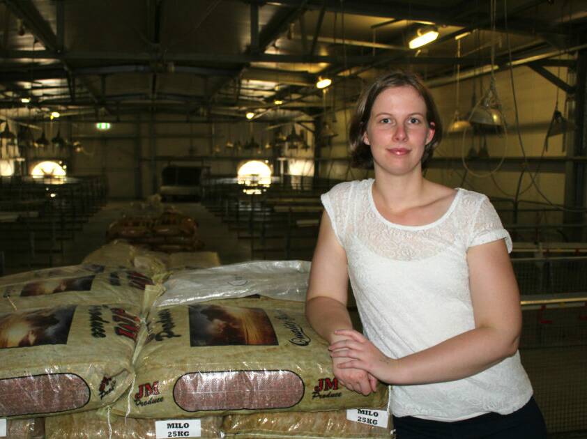 University of Sydney Poultry Research Foundation PhD candidate Amy Moss says adding whole grains to broiler chickens' diet improves their meat production. Photo Poultry Research Foundation, University of Sydney.