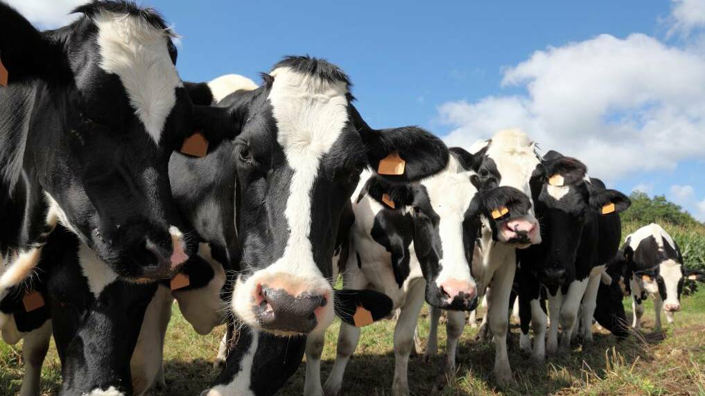Dairy farmers to have more bargaining power under new rules